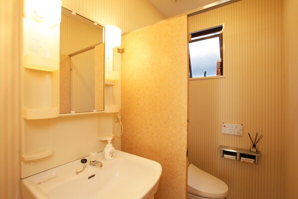 A bathroom with a sink, mirror, and toilet.