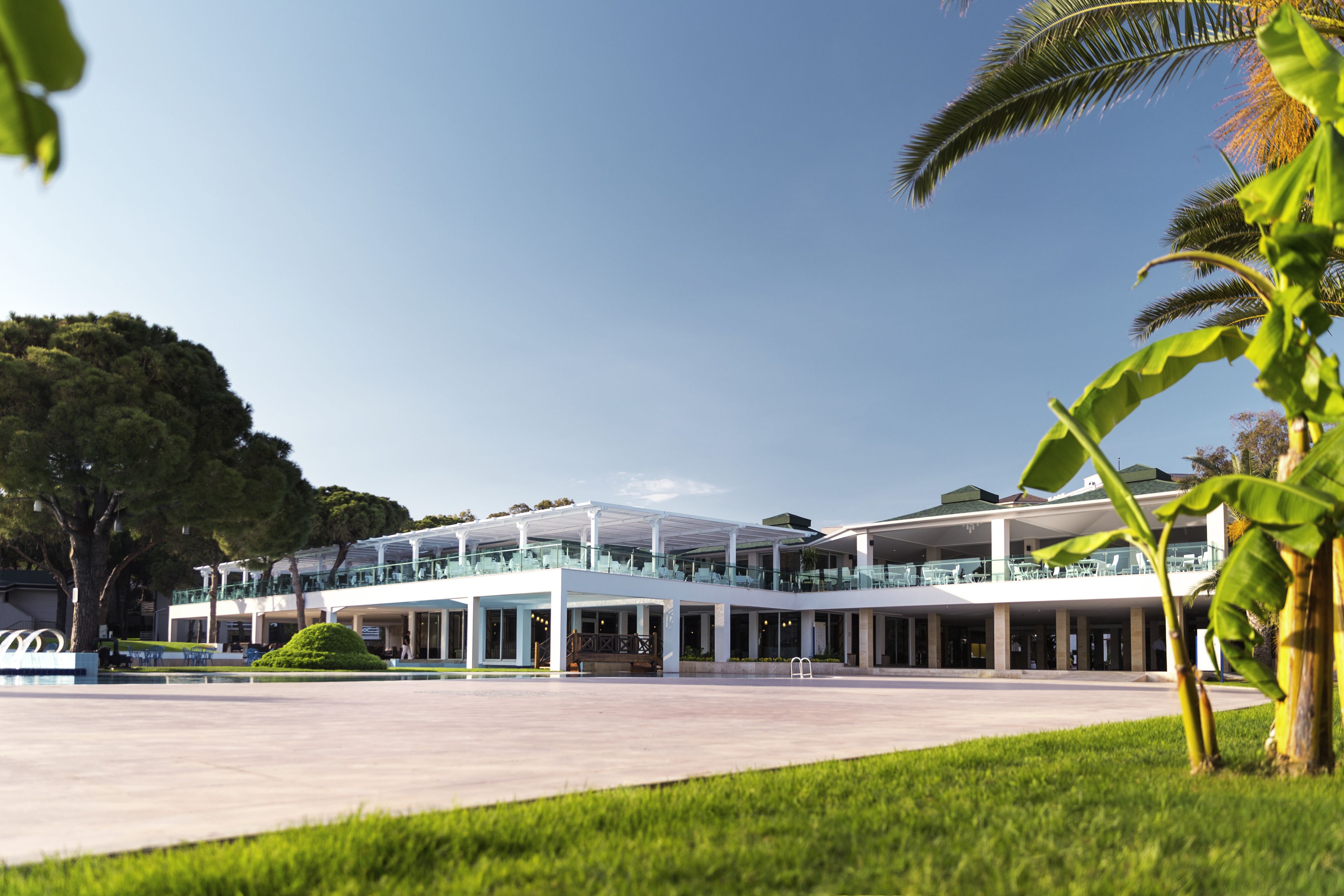 A modern building with multiple levels, large glass windows, and a spacious outdoor area with a palm tree.