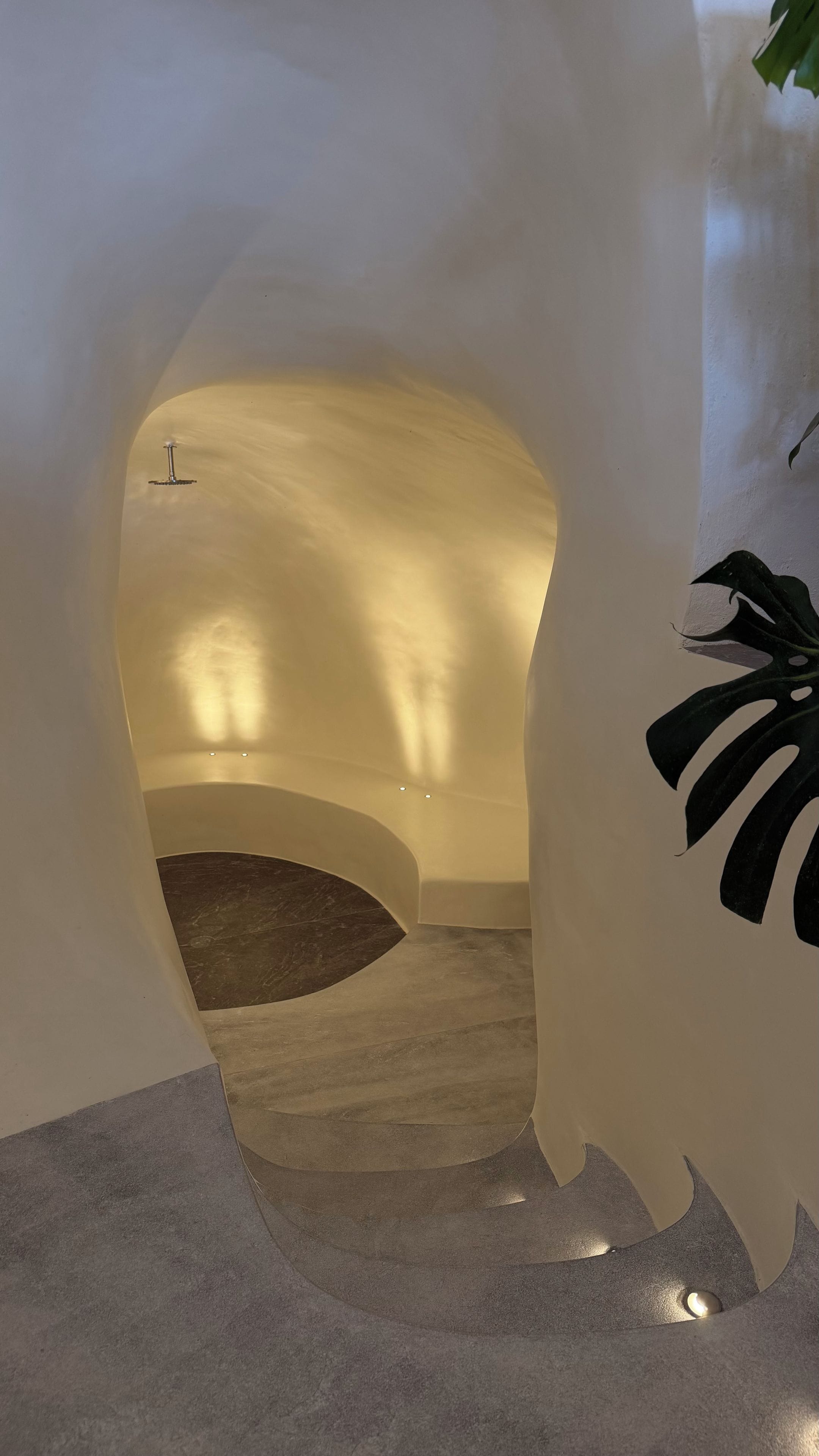 Ein modernes Interieur mit einer gewölbten Decke, einem Marmorboden und einer Pflanze mit großen Blättern.