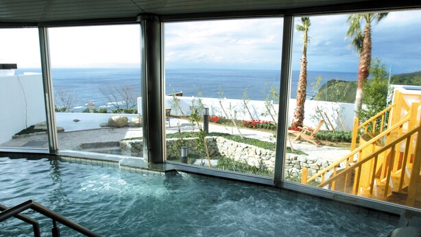 Una piscina interior con vistas al océano y palmeras.