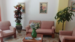 Une pièce comprenant trois canapés, une table basse et deux plantes en pot.