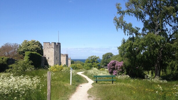 A dirt path leading to a stone castle with a bench and wildflowers. - Adelsgatan Bed & Breakfast (Visby)