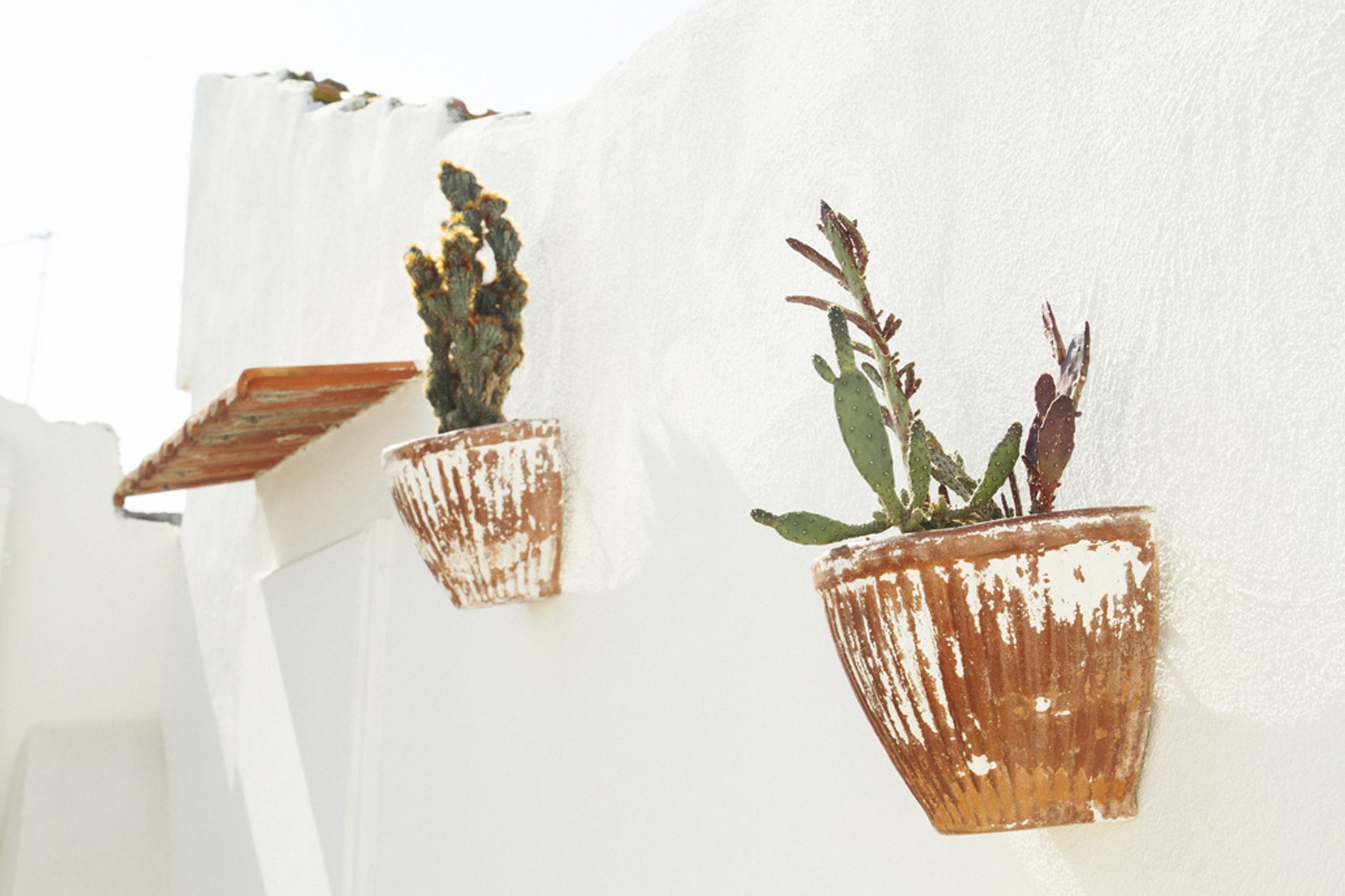 A white wall with two hanging planters containing plants.