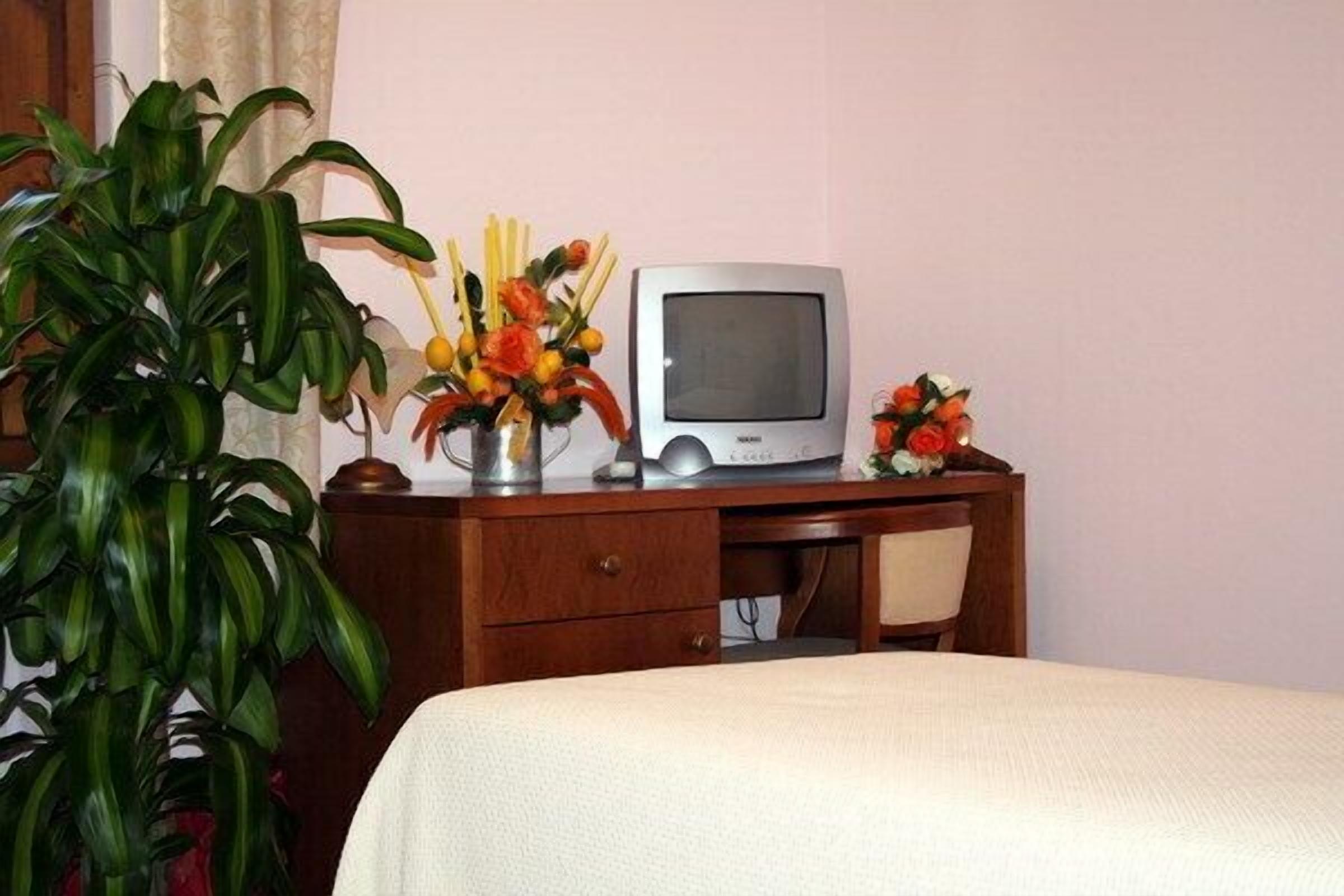 Habitación de hotel con cama, escritorio de madera con televisor, planta en maceta y un florero con flores.