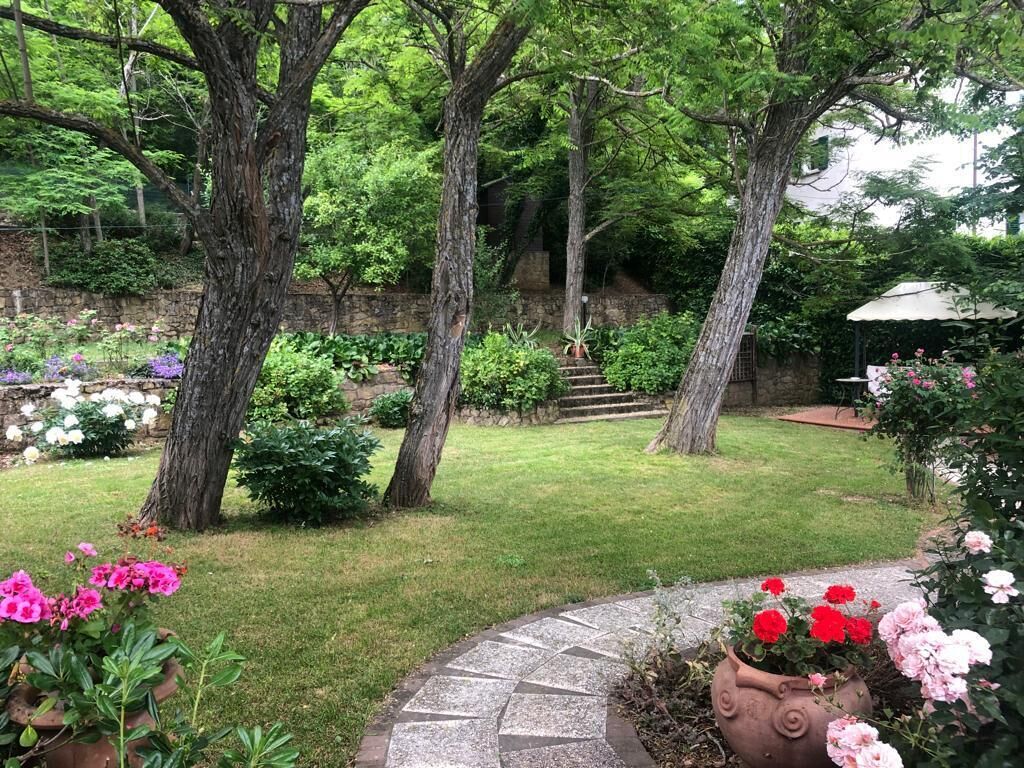 A garden with a stone pathway, trees, and potted plants.