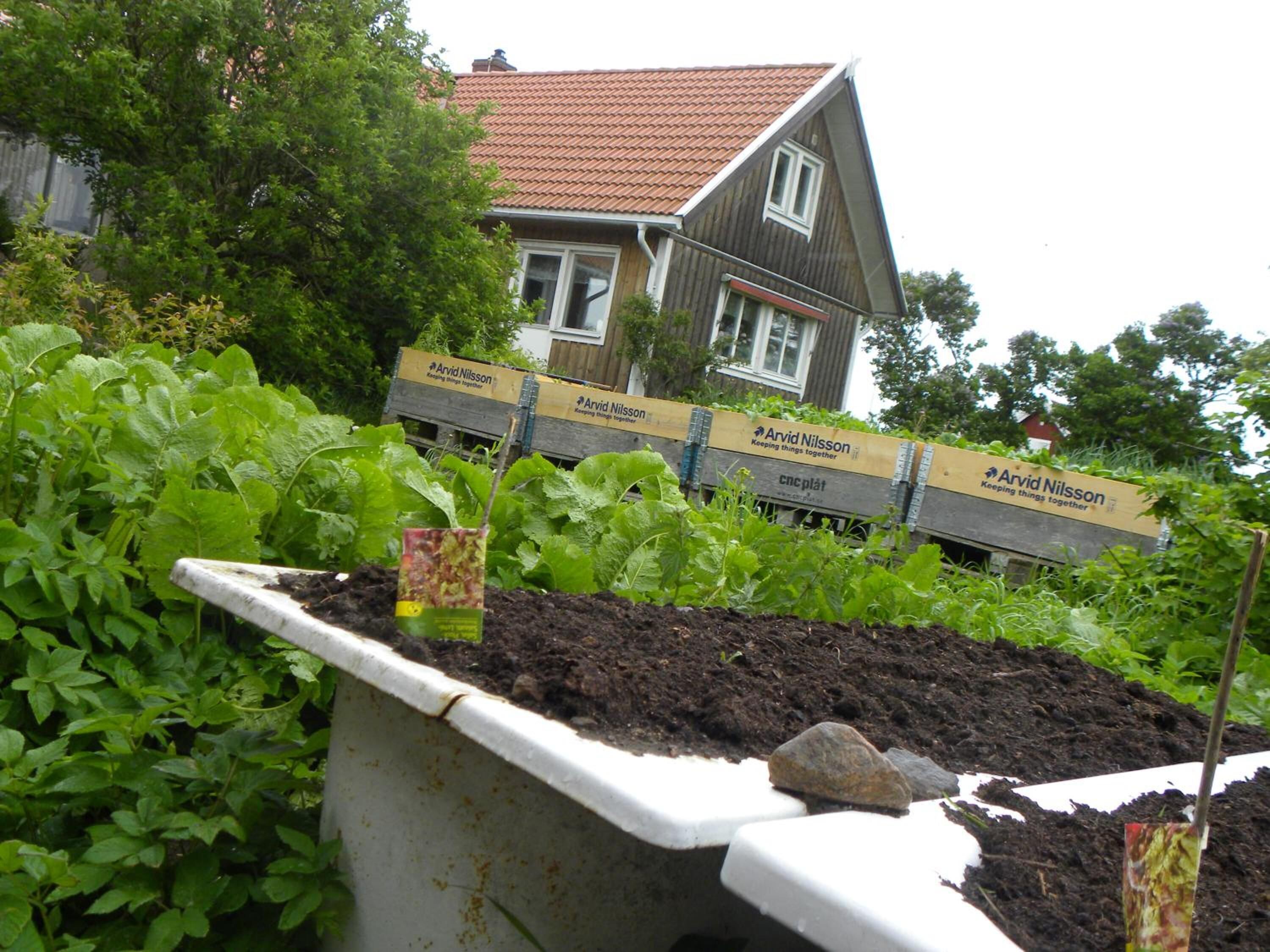Overnattingsstedets uteområder