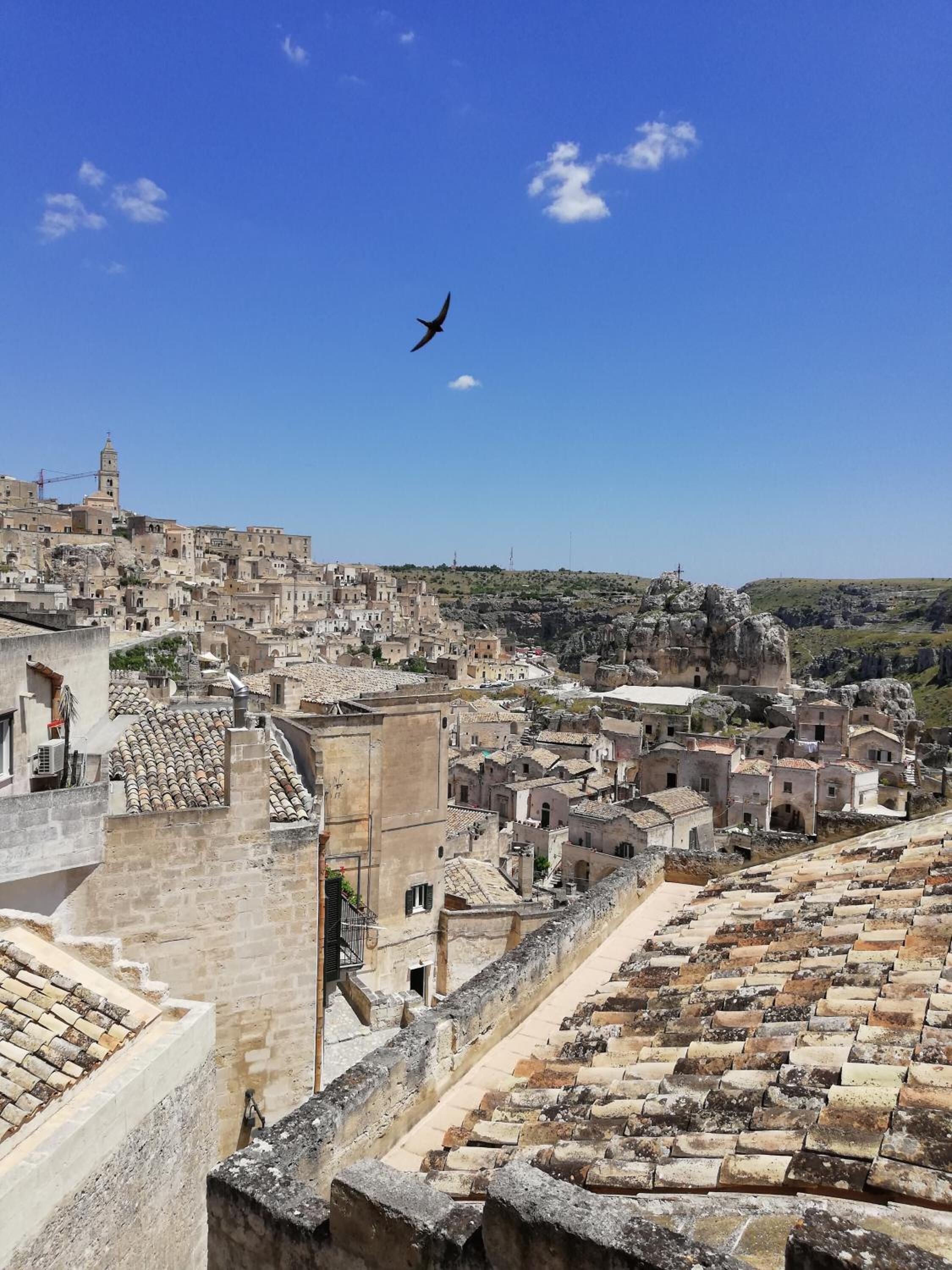 Photo - Slow Living B&B