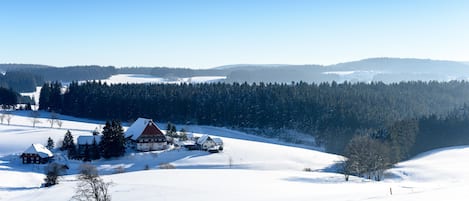 Un paisaje nevado con un conjunto de casas y un bosque al fondo.