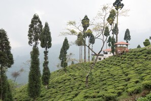 View from property - Chamong Chiabari (Darjeeling)