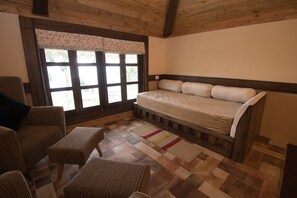 平板电视、收费电影