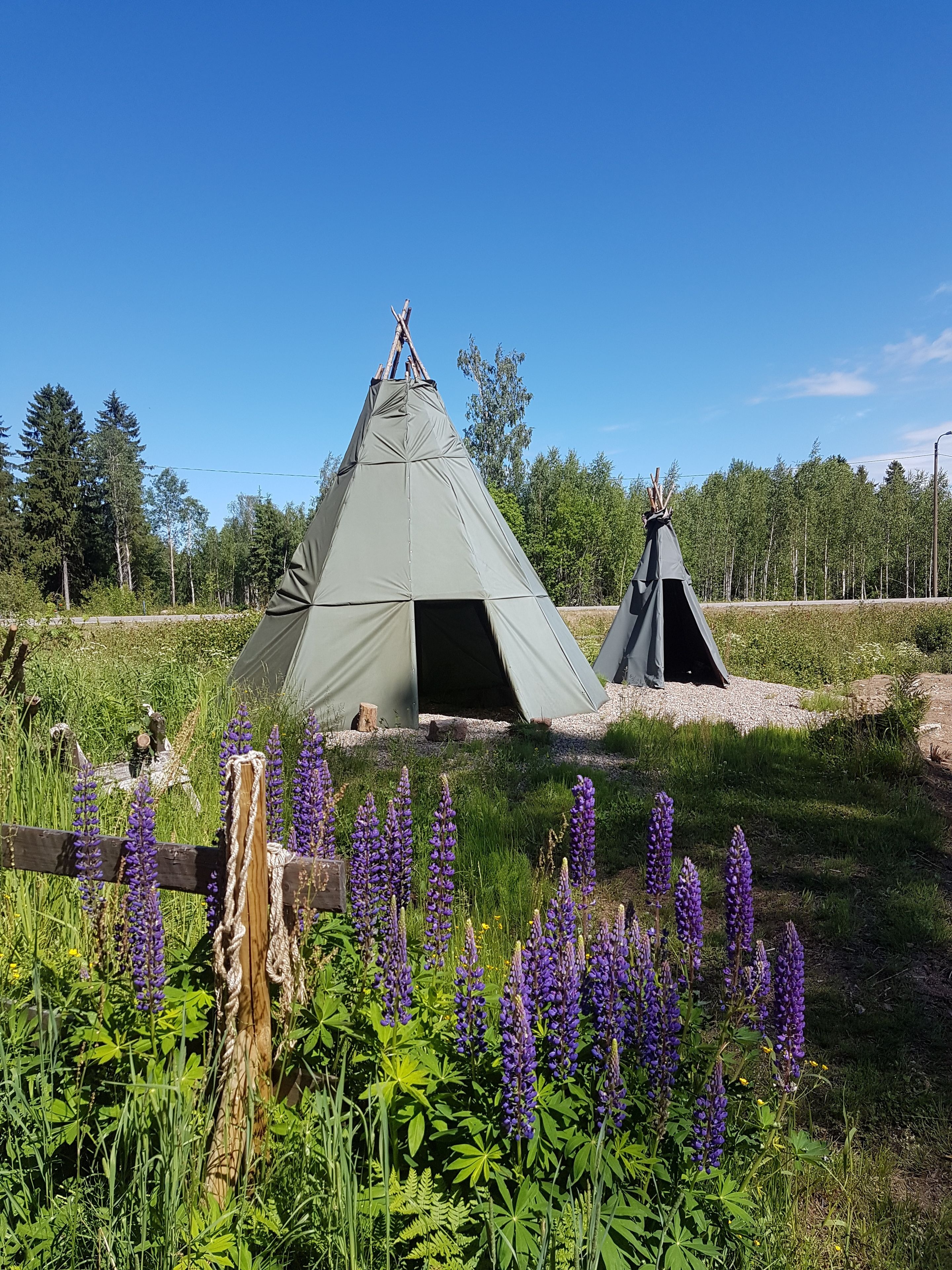 Two tipi-style tents in a natural setting with surrounding greenery and purple flowers.
