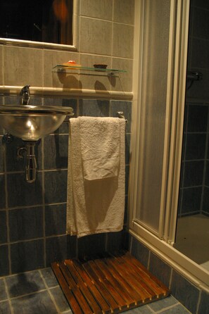 Twin Room | Bathroom | Shower, free toiletries, towels - Posada de Bleto (Ledesma)