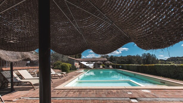 Une piscine entourée d’un sol en briques et d’une haie, avec des chaises longues et des parasols à proximité.