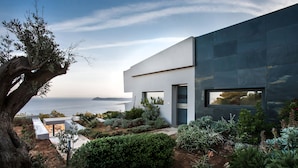 A modern house with a view of the ocean, surrounded by landscaped garden and a large tree. - Marathon Blue (Marathon)