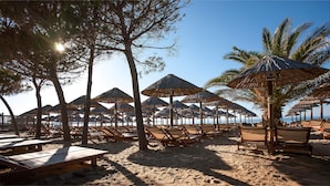 A beach with rows of sun loungers and thatched umbrellas, palm trees, and a clear sky. - Marathon Blue (Marathon)