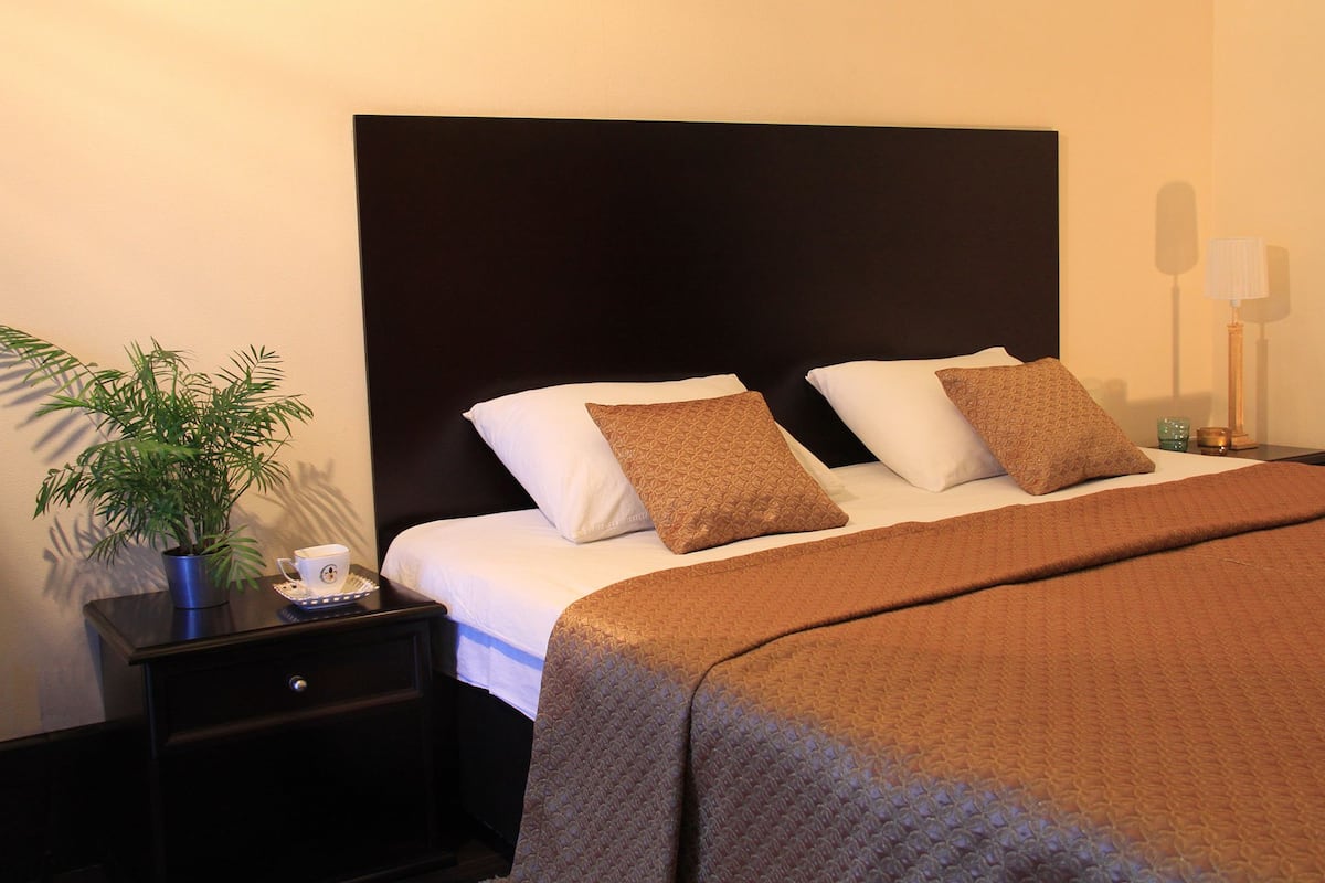 A hotel room with a large bed, a nightstand with a plant and a cup, and a bedside table with a lamp.