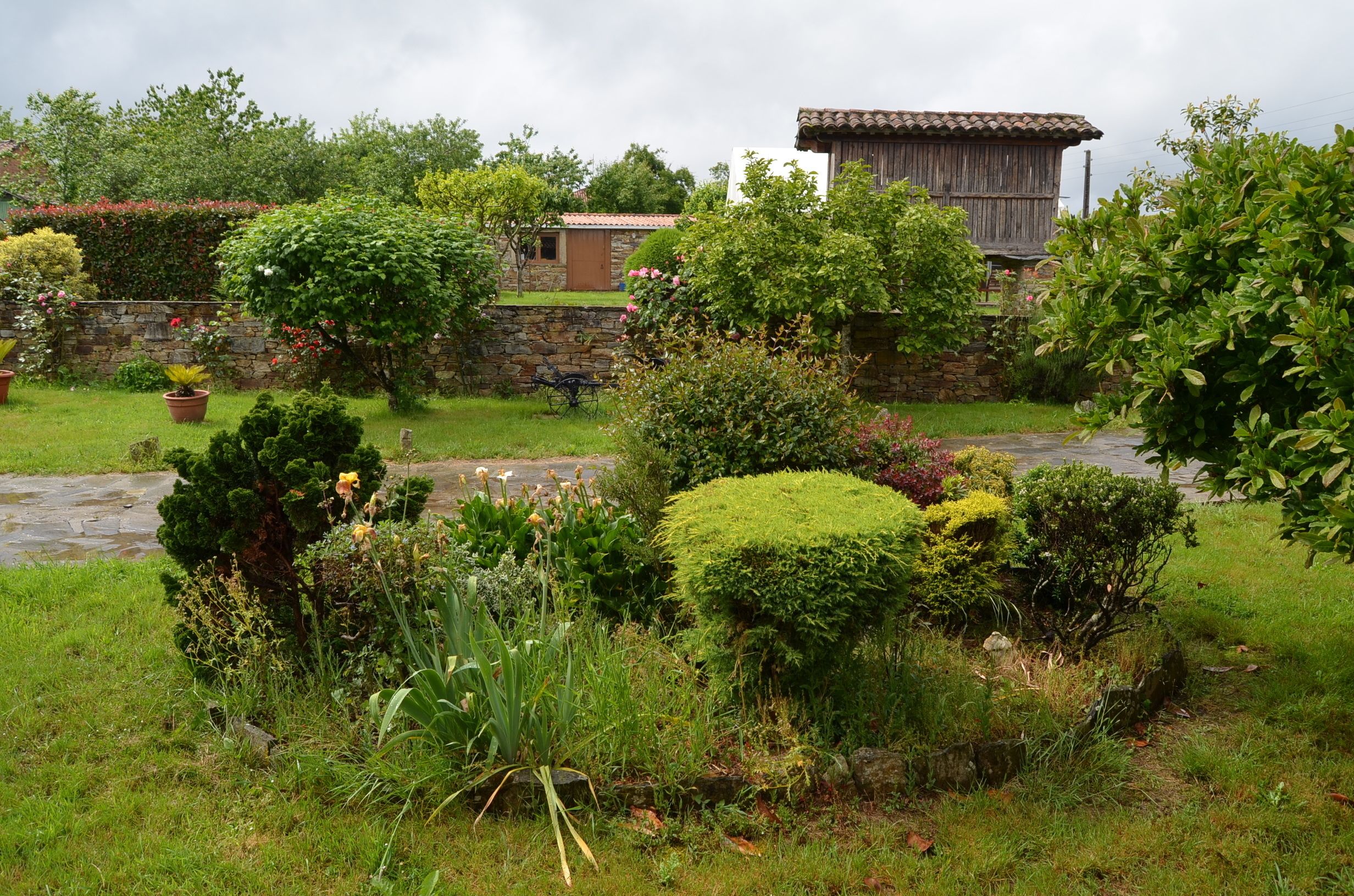 A rustic garden with a stone wall, various plants, and a wooden building with a tiled roof.
