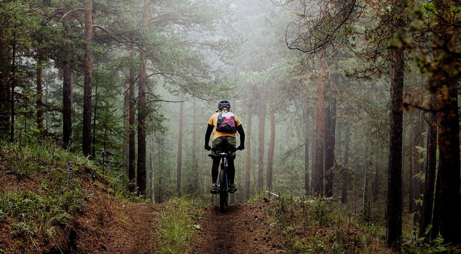 A mountain biker on a trail surrounded by tall trees in a forest.
