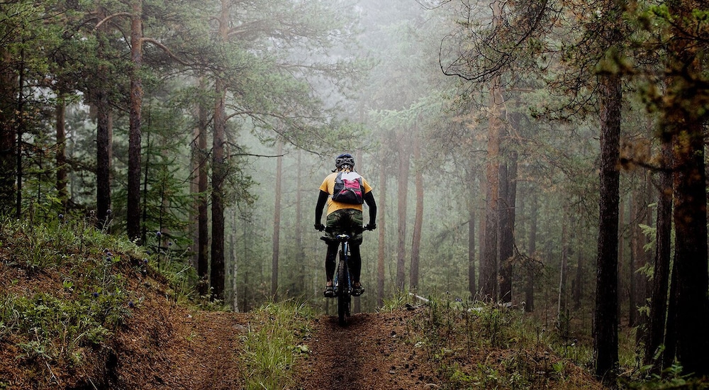 Evedals Vandrarhem Växjö by null