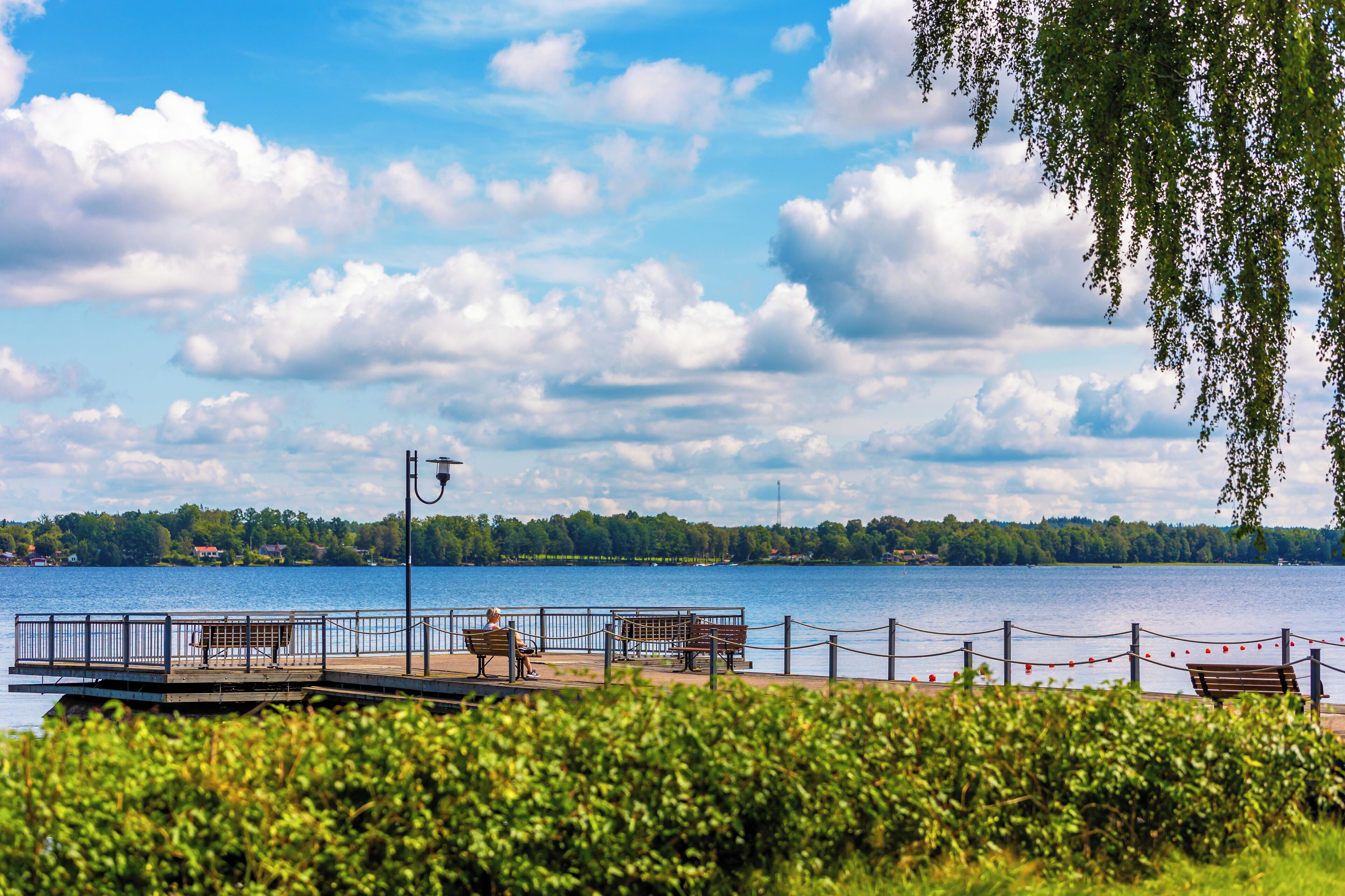Un parque junto al lago con bancos y un paseo.