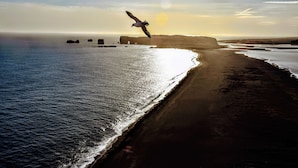 A coastal scene with a bird flying over the water, cliffs, and a beach. - Hótel Kría (Vik I Myrdal)