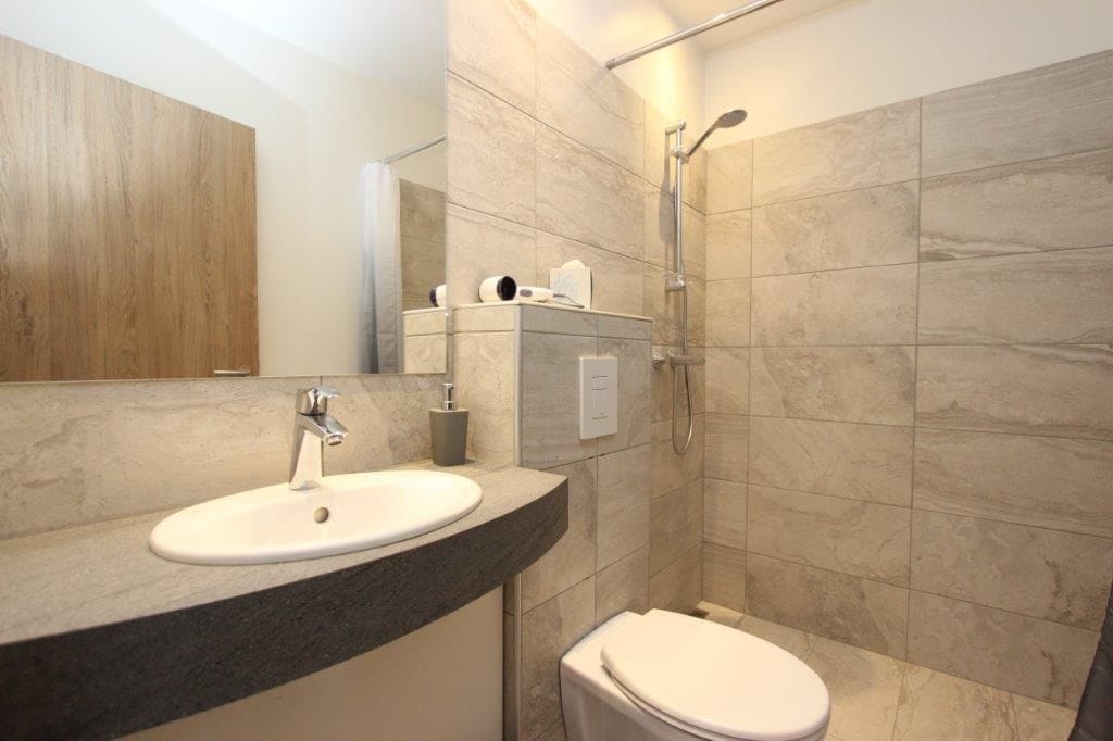 double or twin room, private bathroom | bathroom | shower, free toiletries, hair dryer, towels
