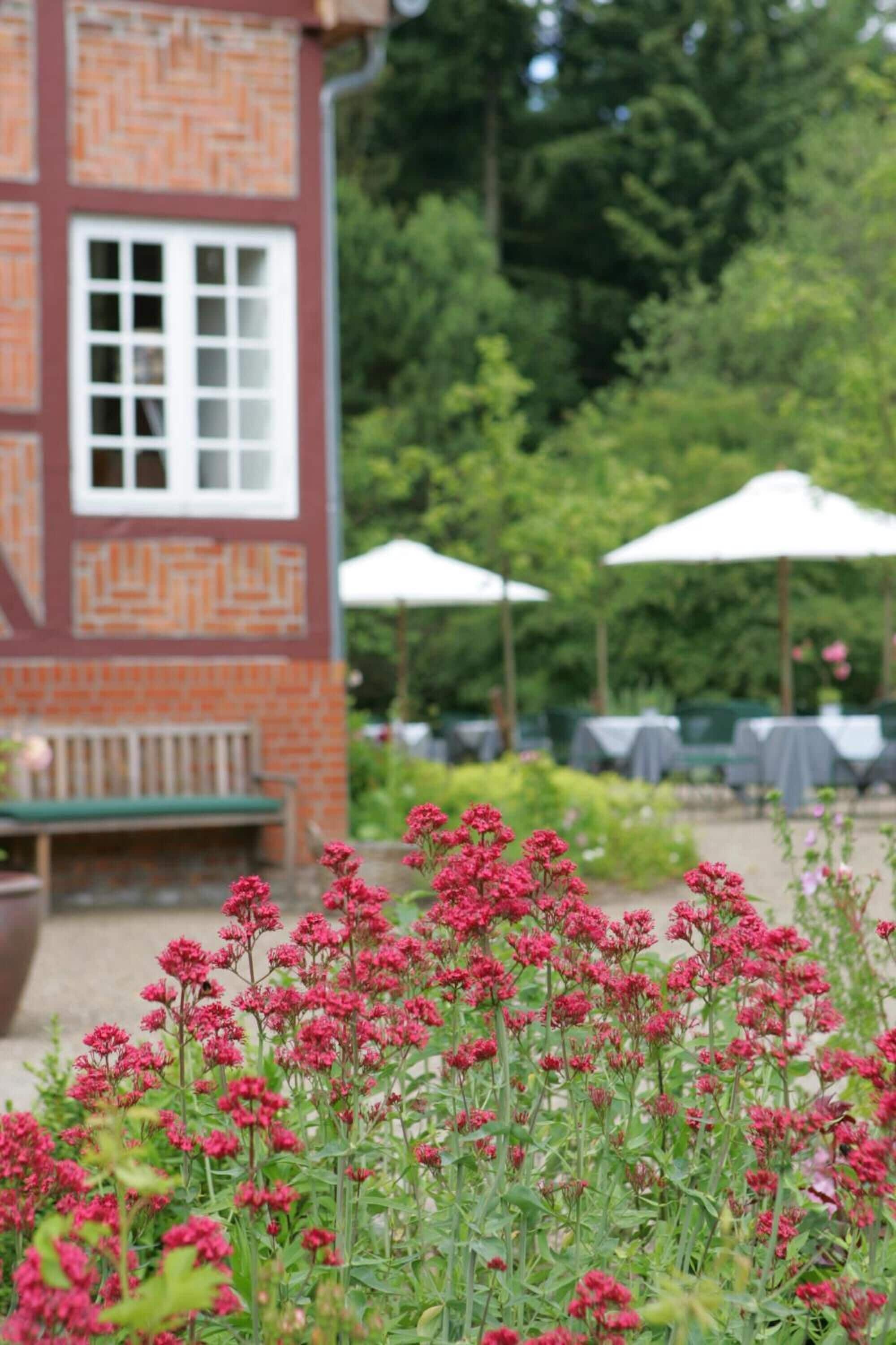 บริเวณที่พัก