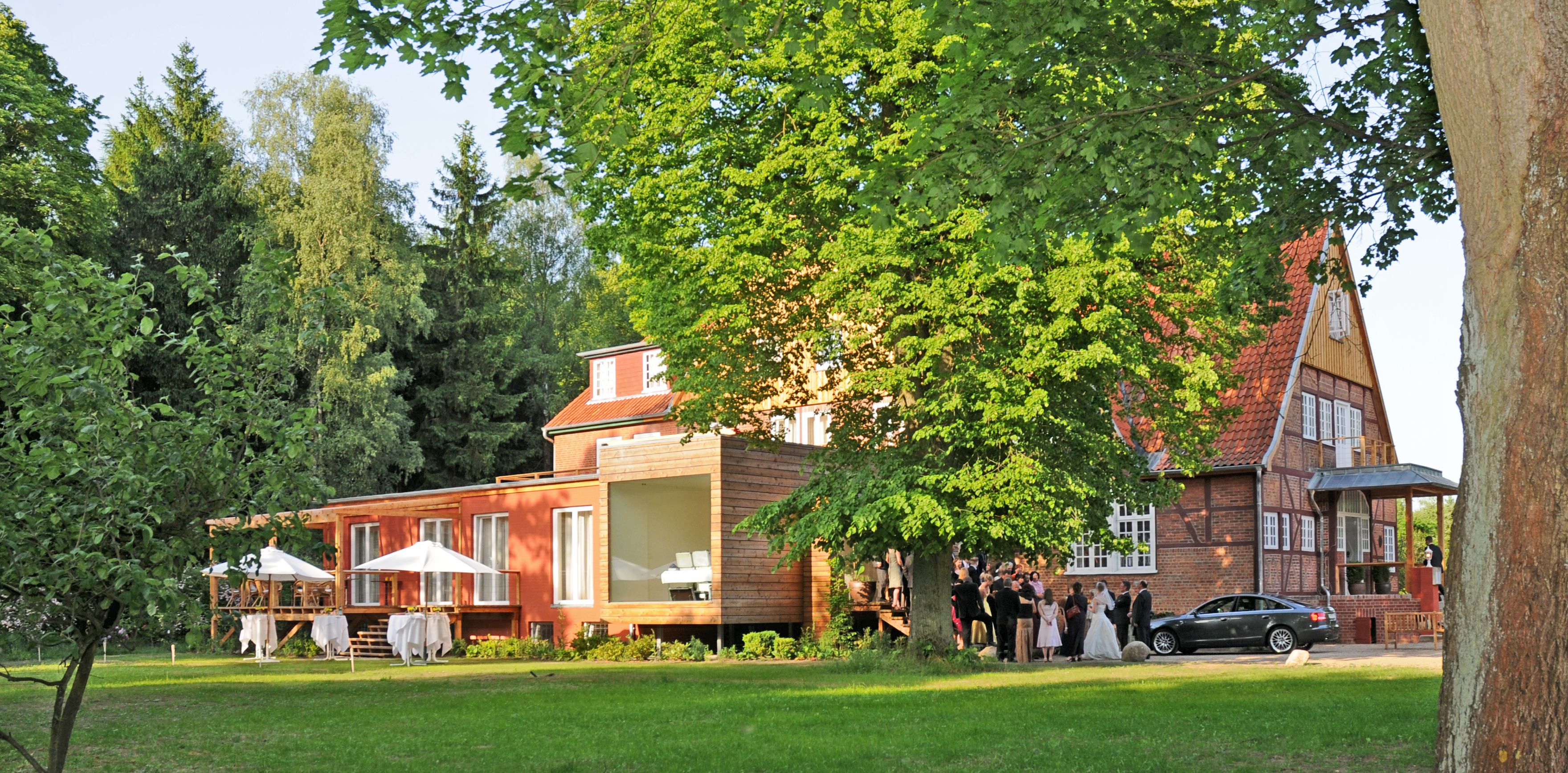 A traditional building with a large tree in front, surrounded by a grassy area and other trees.