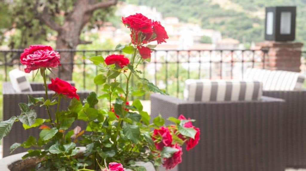 A balcony with red roses, outdoor furniture, and a view of a mountainous landscape.