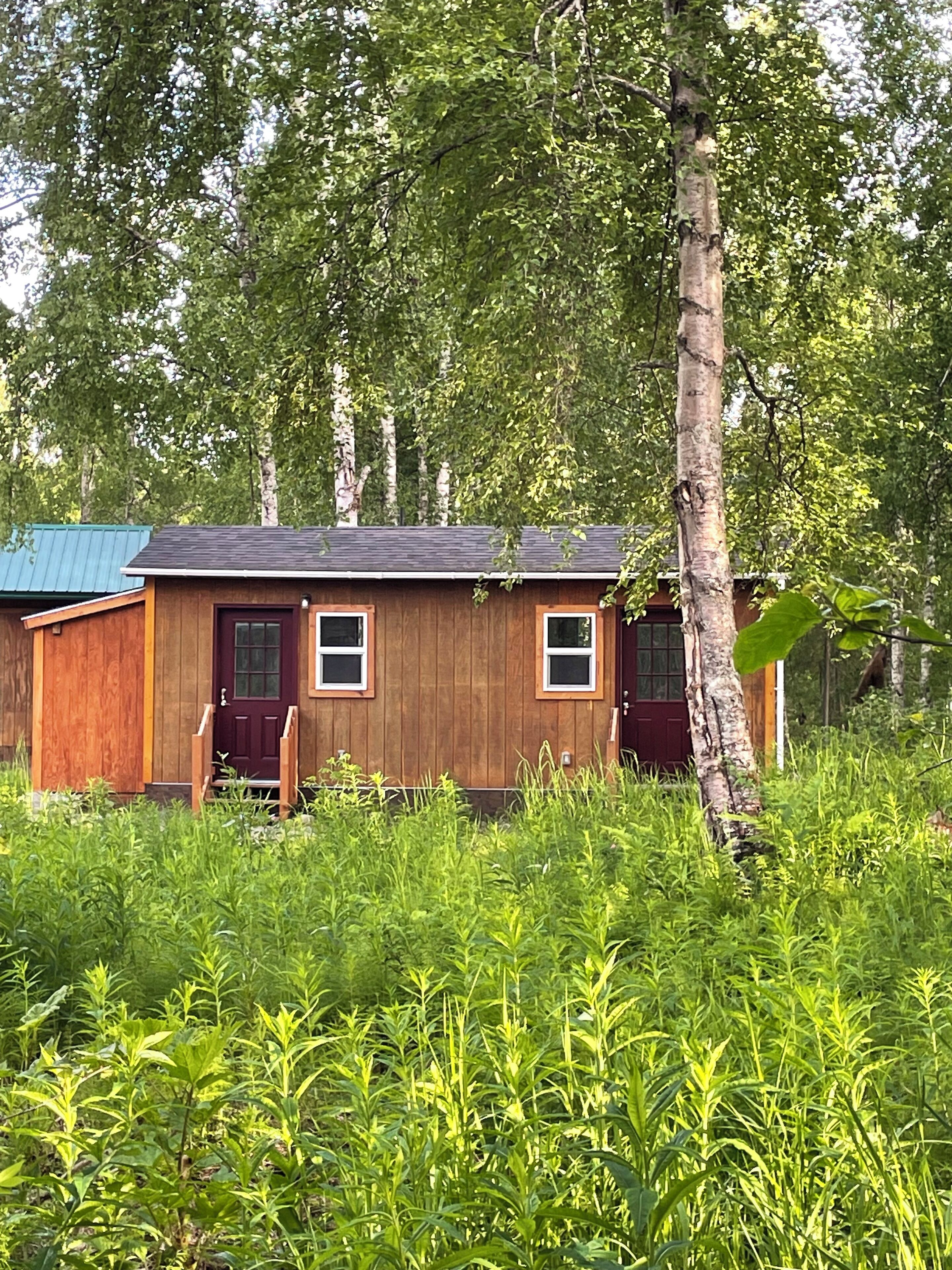A small wooden cabin with a red door and two windows, surrounded by dense greenery and trees.