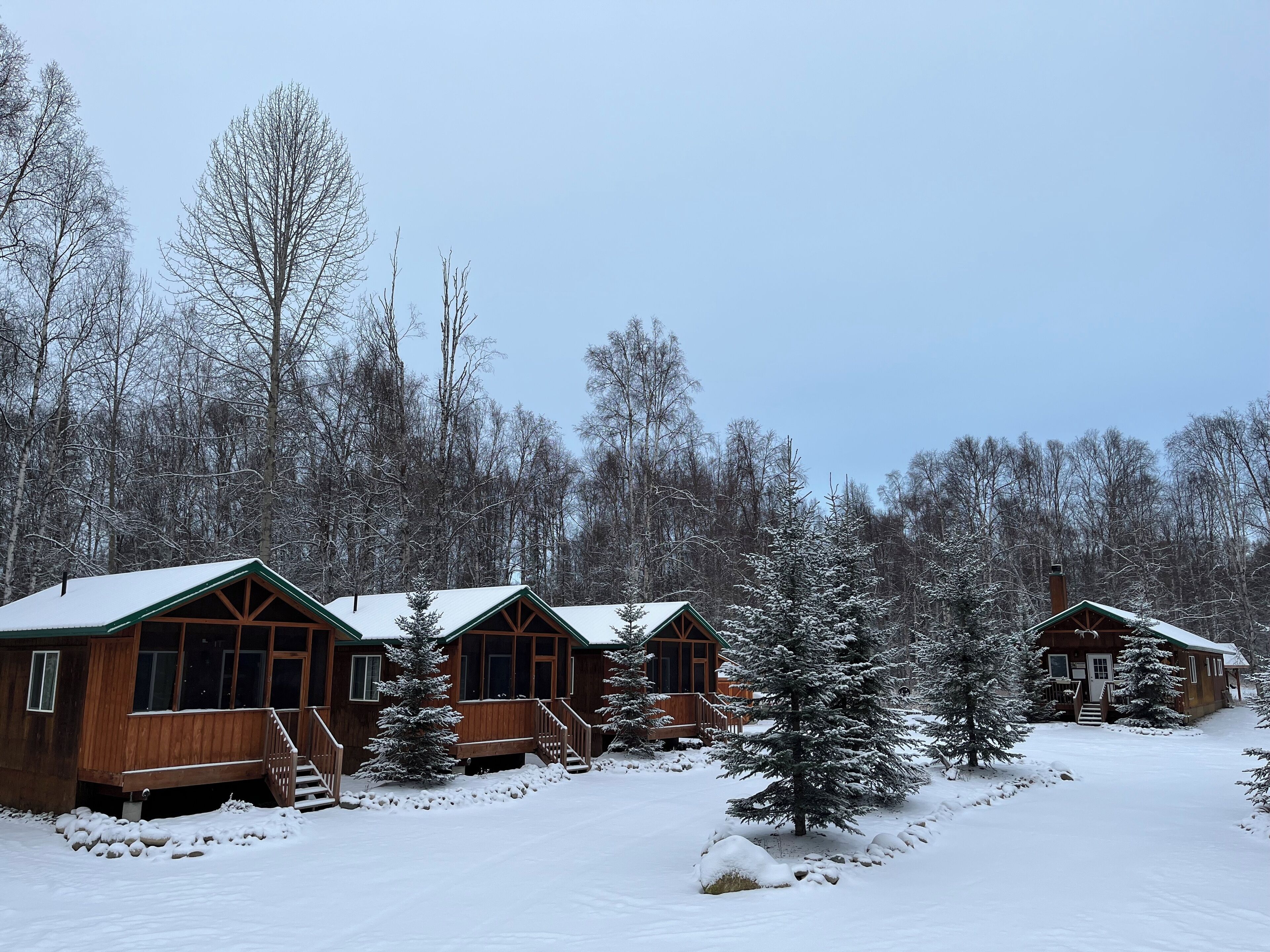 A row of wooden cabins with green roofs, surrounded by snow-covered trees and a clear sky.