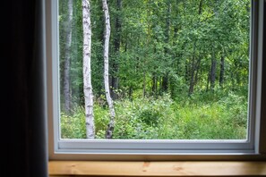 View from room - Talkeetna Wilderness Lodge and Cabin Rentals (Talkeetna)