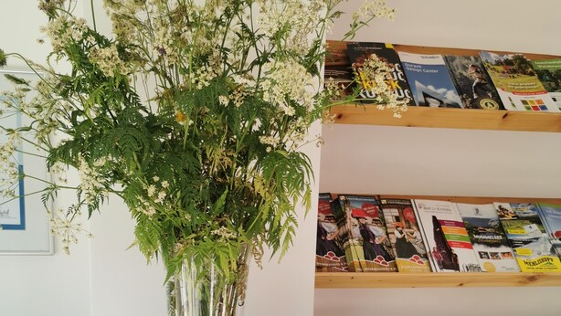 Una estantería con libros y una planta decorativa.