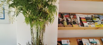 Hotel Sonne Kirnbach