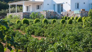 Exterior - Villa Maria (Paros)