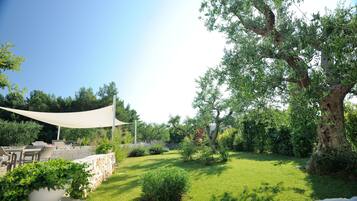 Áreas de la propiedad