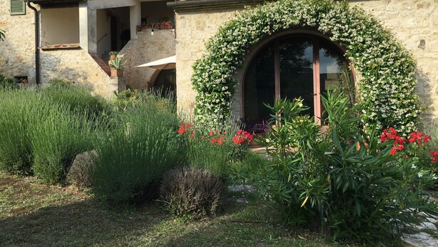 Ein rustikales Steinhaus mit überdachter Terrasse, einem großen Bogenfenster und einem Garten mit verschiedenen Pflanzen und Blumen.