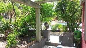 An outdoor patio area with a pergola, stone flooring, and various plants. - Les Mayombes (Roquebrune-sur-Argens)