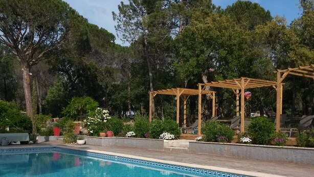 A swimming pool with a hot tub, surrounded by a wooden pergola and lush greenery. - Les Mayombes (Roquebrune-sur-Argens)