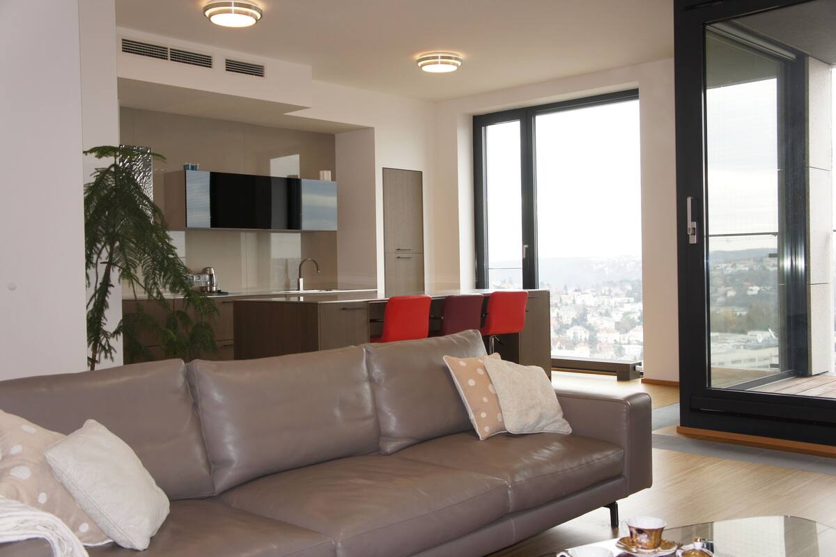 Executive Apartment, 2 Bedrooms, Park View | Living room | TV, pay movies