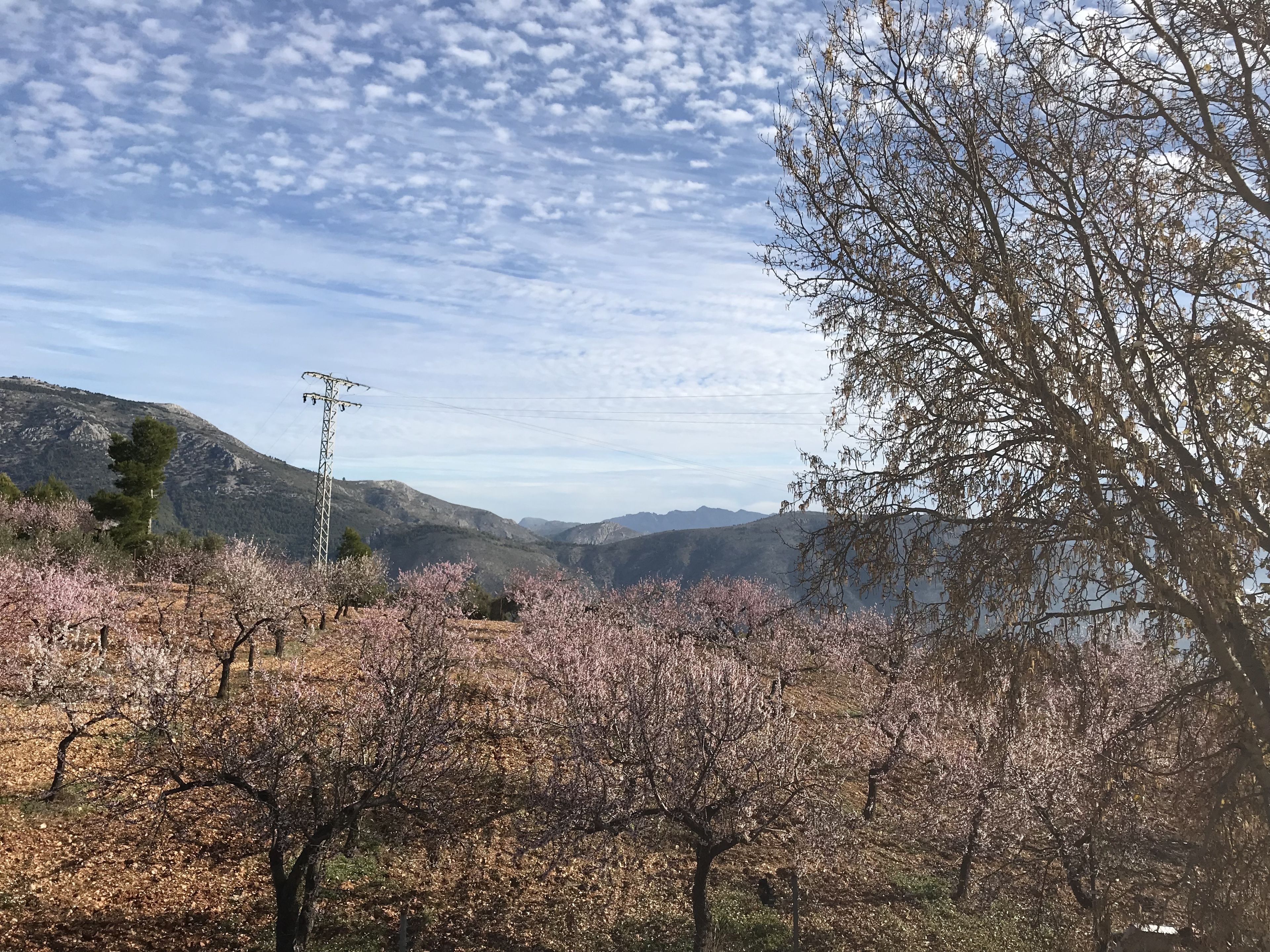 Foto - Rincón De Pepe