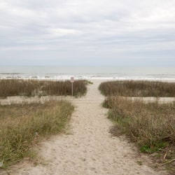 On the beach