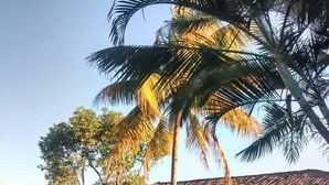 Outdoor pool - HOSTAL TROPICANA (San Salvador)