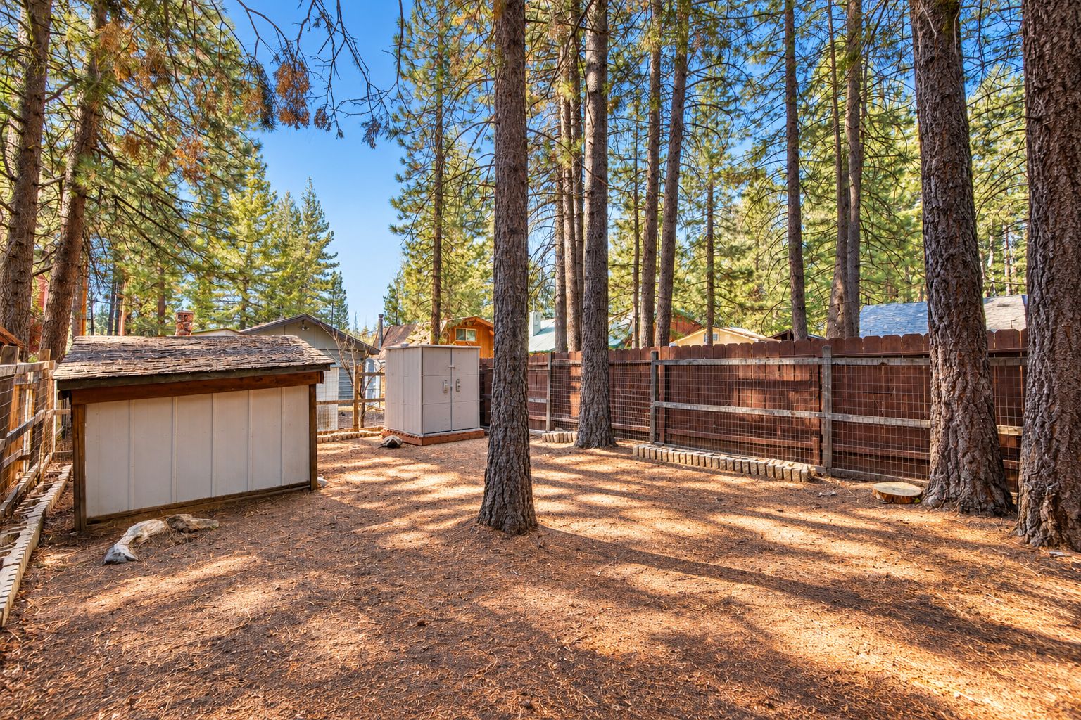 A fenced outdoor area with wooden structures, likely a storage shed and a utility box, surrounded by tall pine trees.