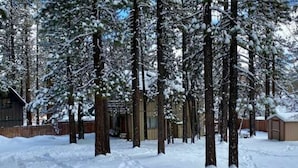 Property grounds - Rincon Cabin (Big Bear Lake)