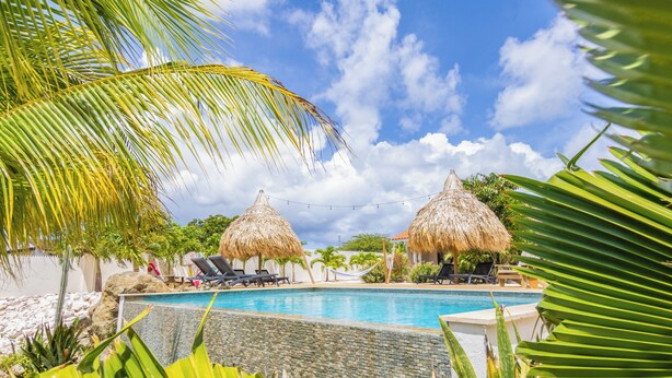Un área de piscina con sillones de descanso, sombrillas de paja y plantas tropicales.