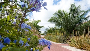 Un sendero en un jardín con flores azules, palmeras y plantas de agave.