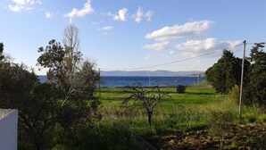 A coastal landscape with a grassy field, trees, and a view of the sea. - Villa Marianthi (Lesvos)