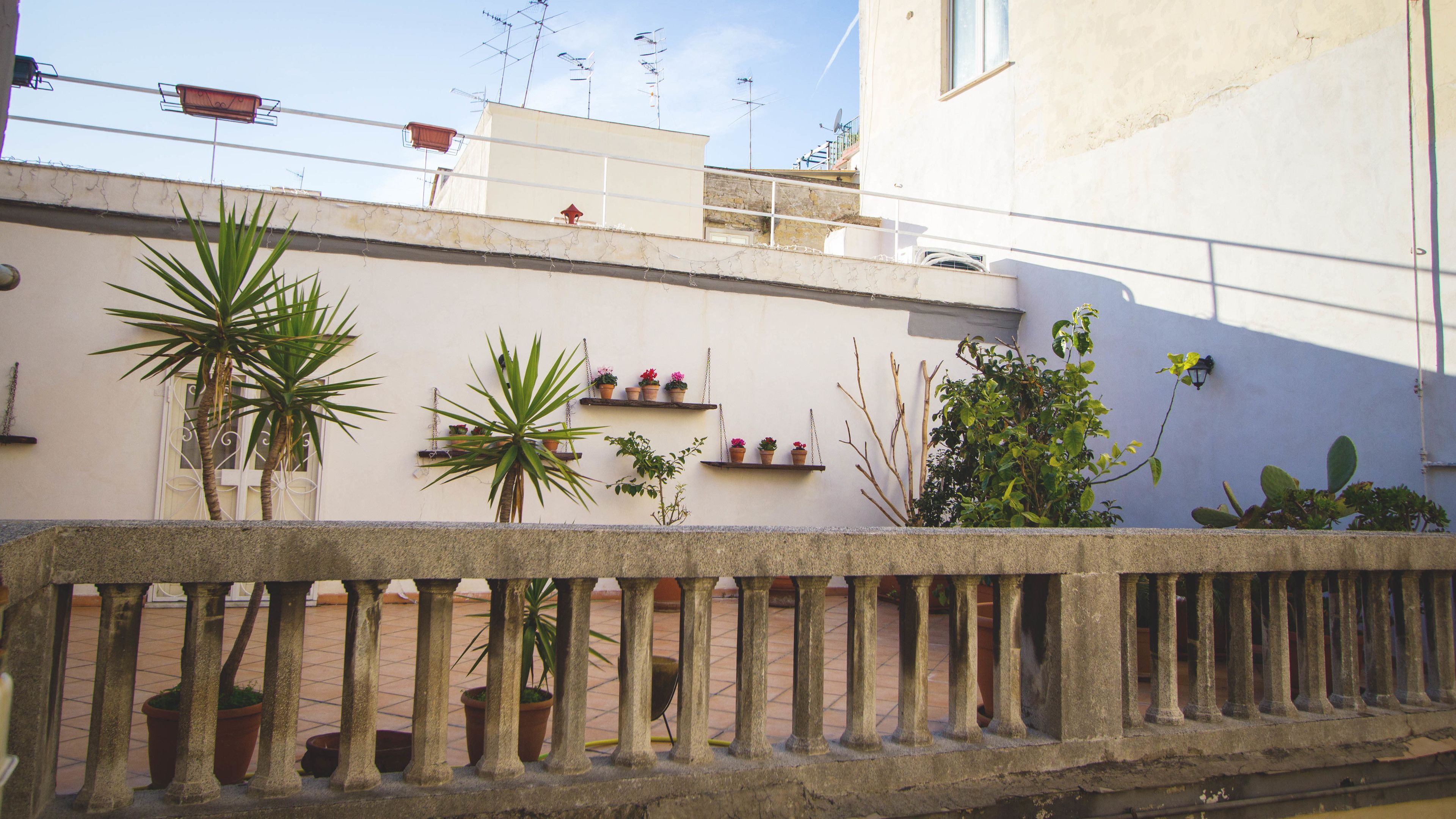 Foto - Palazzo della Loggia B&B