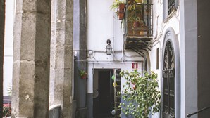 Un estrecho callejón con paredes de piedra, macetas y un farol.